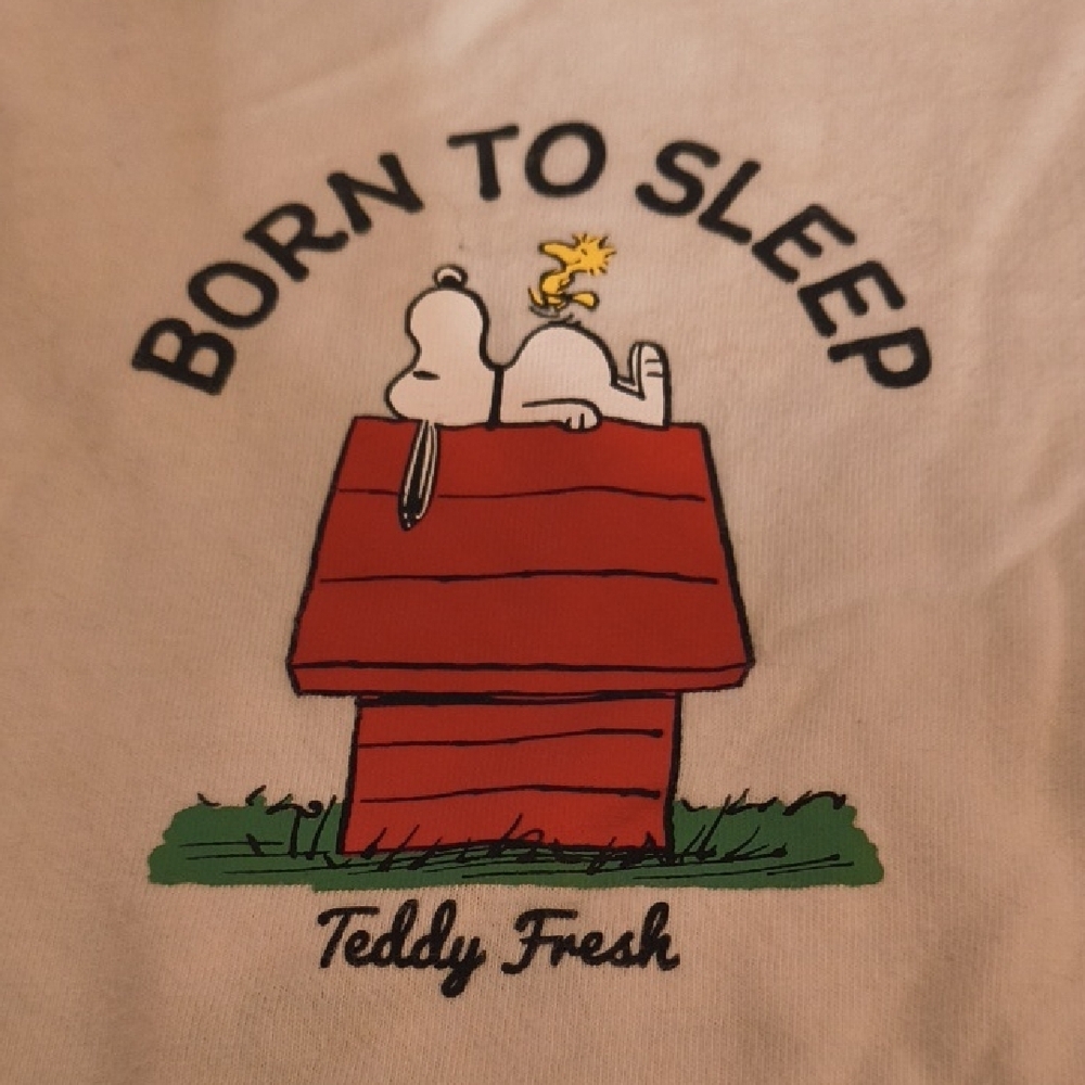 Teddy Fresh Tee - Picture 3 of 10